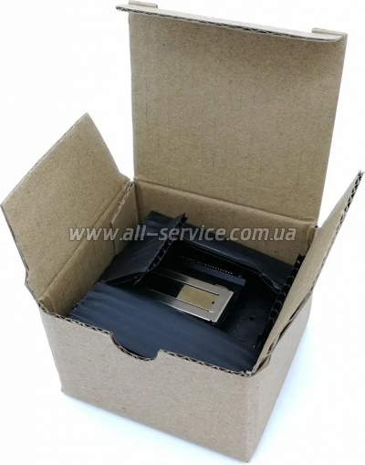   Epson (FA04000/ FA04010)