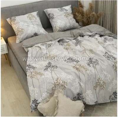   Viluta 24265   (24265_pl)