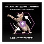     Purina Pro Plan Original Kitten   400  (7613036545099)