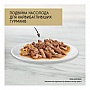     Purina Gourmet Gold       85 (7613031381050)