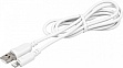 ���� ������ USB 2.0 AM to Lightning 1.0m PowerPlant (CA911196)