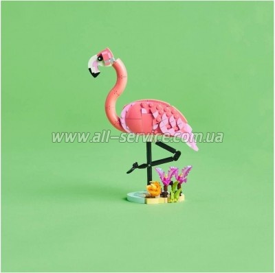  LEGO Creator  :   (31170)