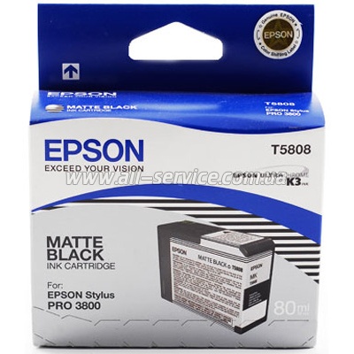 Картридж Epson StPro 3800 matte black (C13T580800)