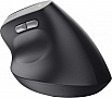  Trust Bayo 2 Ergonomic Wireless/USB-A Black (25145)