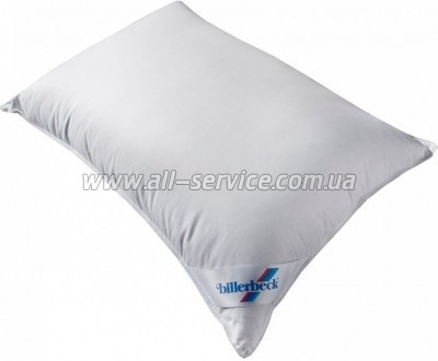 ������� Billerbeck ����� 40�60 ������� (1590-11/46)