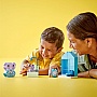 ����������� LEGO DUPLO My First ������������ ���������: ����� ��������� ����� 15 ������� (10413)