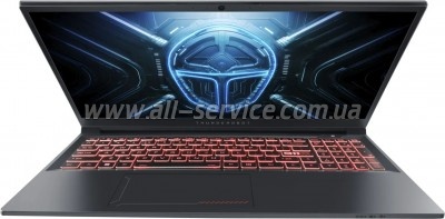  Thunderobot R16 (R16-i7146HX56C1Q300RG)