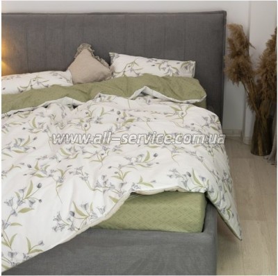   Viluta 24277   (24277_pl)