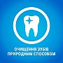   Purina DentaLife Medium      115 (7613035379794)