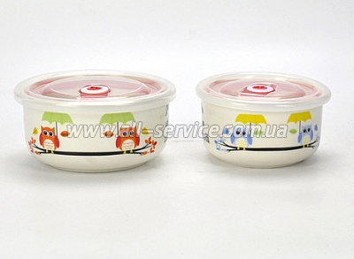   Limited Edition OWL 540 (B621-09119-1 )