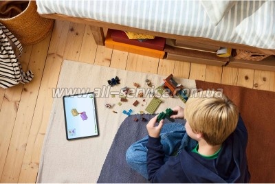 ����������� LEGO Minecraft ������ ���������� ����������� (21269)