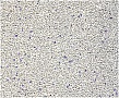    Catfun     5  (8683655071452)