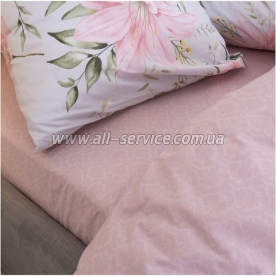   Viluta 24255   (24255_dv)