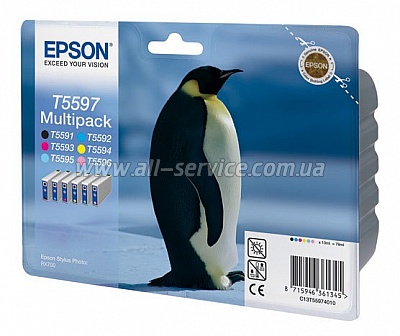 Картридж Epson StPhoto RX700 Bundle (Bk, C, M, Y, LC, LM) (C13T55974010) Картридж Epson StPhoto RX700 Bundle (Bk, C, M, Y, LC, LM) (C13T55974010)