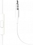  Xiaomi Piston Fresh Bloom Matte Silver (ZBW4355TY)