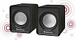   Defender SPK 22 22W USB black (65503)