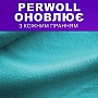    Perwoll        1  (9000101810684)