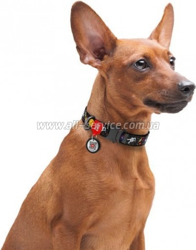    WAUDOG Nylon  QR  NASA  - S (5119)