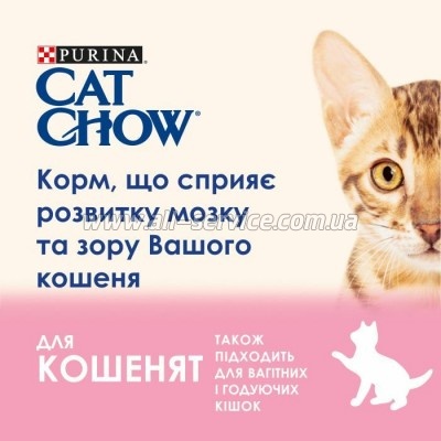     Purina Cat Chow Kitten   15  (5997204514028)