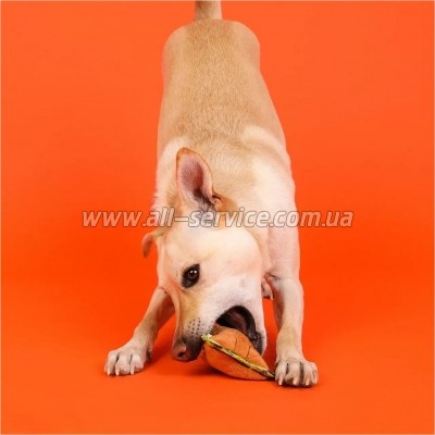    Outward Hound Xtreme Seamz Lion (0700603698849)