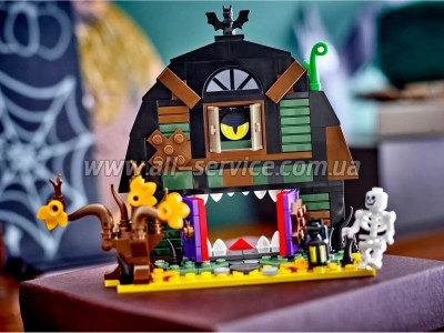 LEGO Iconic   (40721)