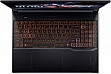  Acer Nitro V 16 ANV16-42 (NH.U1FEU.003)
