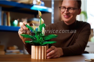 ����������� LEGO Botanicals ���������� (11504)