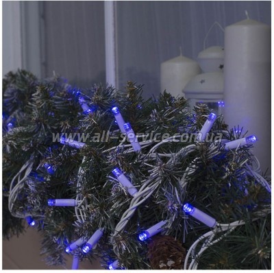  ColorWay IP65 10 100Led   (CW-GO-100L10BL)