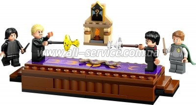  LEGO Harry Potter  :   (76441)
