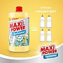      Maxi Power   1000  (4823098411987)