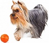    Liker  7  (6294)