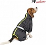  Pet Fashion 