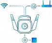   TP-Link TAPO-C310