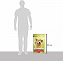     Purina Friskies Active   10 (7613031395484)