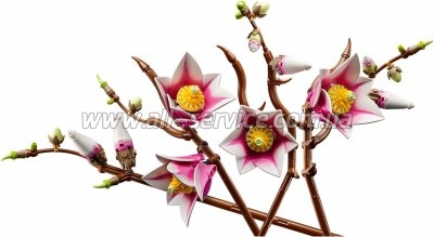 ����������� LEGO Botanicals Magnolia Branches (11510)