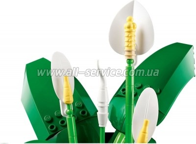 ����������� LEGO Botanicals ���������� (11504)