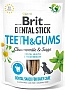    Brit Dental Stick Teeth&Gums    251  (8595602564354)