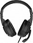  GamePro HS299 RGB Black (HS299)