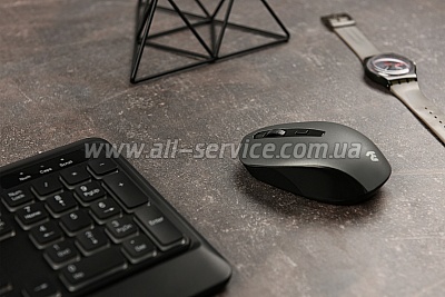 ���� 2E MF211 WL Gray (2E-MF211WC)