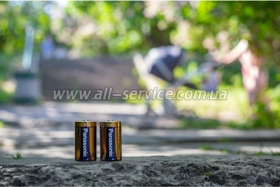 ��������� Panasonic D LR20 Alkaline Power * 2 (LR20REB/2BP)