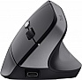  Trust Bayo 2 Ergonomic Wireless/USB-A Black (25145)
