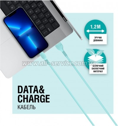 ���� ������ USB 2.0 AM to USB-C 1.2m Mint ACCLAB (1283126518256)