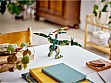  LEGO Creator  (31151)