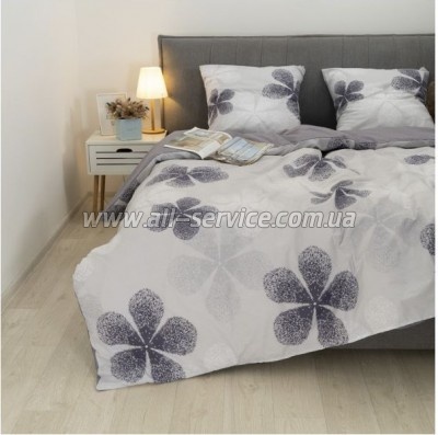   Viluta 24269   (24269_pl)