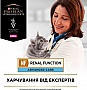     Purina Pro Plan Veterinary Diets NF Renal Function Advanced Care      10 x 85  (7613287873644)