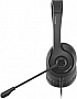  A4Tech FH100i Stone Black