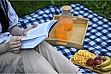 ���� Ardesto Picnic 130�170��, ������ ����� (ART0916BC)