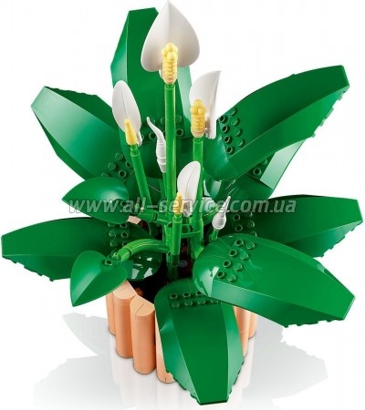 ����������� LEGO Botanicals ���������� (11504)