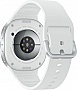 - Samsung Galaxy Watch 8 40mm eSIM Silver (SM-L325FZSASEK)