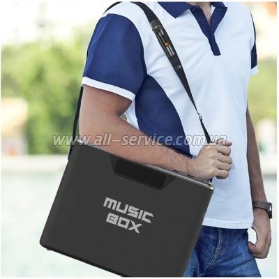   HiFuture MusicBox 100W Silver (musicbox.silver)